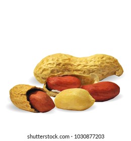 Fresh, nutritious, tasty peanut. Nuts ingredients in triangulation technique. Vector illustration. Nuts ingredients in triangulation technique. Peanut low poly