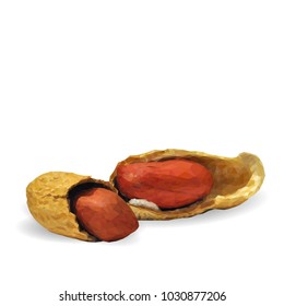 Fresh, nutritious, tasty peanut. Nuts ingredients in triangulation technique. Vector illustration. Nuts ingredients in triangulation technique. Peanut low poly
