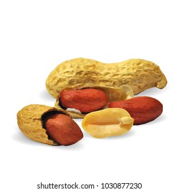 Fresh, nutritious, tasty peanut. Nuts ingredients in triangulation technique. Vector illustration. Nuts ingredients in triangulation technique. Peanut low poly