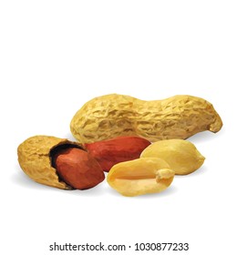Fresh, nutritious, tasty peanut. Nuts ingredients in triangulation technique. Vector illustration. Nuts ingredients in triangulation technique. Peanut low poly