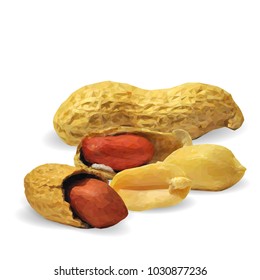 Fresh, nutritious, tasty peanut. Nuts ingredients in triangulation technique. Vector illustration. Nuts ingredients in triangulation technique. Peanut low poly