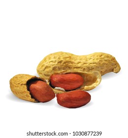 Fresh, nutritious, tasty peanut. Nuts ingredients in triangulation technique. Vector illustration. Nuts ingredients in triangulation technique. Peanut low poly
