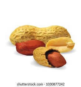 Fresh, nutritious, tasty peanut. Nuts ingredients in triangulation technique. Vector illustration. Nuts ingredients in triangulation technique. Peanut low poly