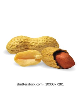 Fresh, nutritious, tasty peanut. Nuts ingredients in triangulation technique. Vector illustration. Nuts ingredients in triangulation technique. Peanut low poly
