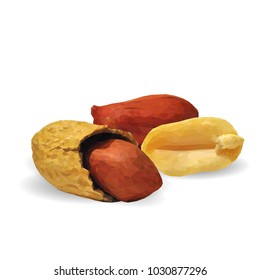Fresh, nutritious, tasty peanut. Nuts ingredients in triangulation technique. Vector illustration. Nuts ingredients in triangulation technique. Peanut low poly