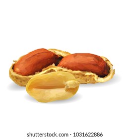 Fresh, nutritious, tasty peanut. Nuts ingredients in triangulation technique. Vector illustration. Nuts ingredients in triangulation technique. Peanut low poly
