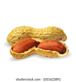 Fresh, nutritious, tasty peanut. Nuts ingredients in triangulation technique. Vector illustration. Nuts ingredients in triangulation technique. Peanut low poly
