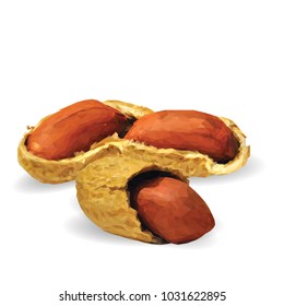 Fresh, nutritious, tasty peanut. Nuts ingredients in triangulation technique. Vector illustration. Nuts ingredients in triangulation technique. Peanut low poly