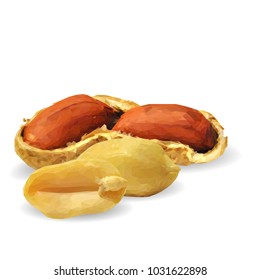 Fresh, nutritious, tasty peanut. Nuts ingredients in triangulation technique. Vector illustration. Nuts ingredients in triangulation technique. Peanut low poly