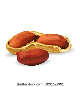 Fresh, nutritious, tasty peanut. Nuts ingredients in triangulation technique. Vector illustration. Nuts ingredients in triangulation technique. Peanut low poly
