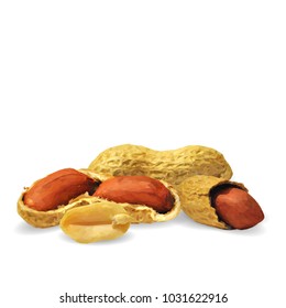 Fresh, nutritious, tasty peanut. Nuts ingredients in triangulation technique. Vector illustration. Nuts ingredients in triangulation technique. Peanut low poly