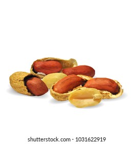 Fresh, nutritious, tasty peanut. Nuts ingredients in triangulation technique. Vector illustration. Nuts ingredients in triangulation technique. Peanut low poly