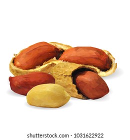 Fresh, nutritious, tasty peanut. Nuts ingredients in triangulation technique. Vector illustration. Nuts ingredients in triangulation technique. Peanut low poly