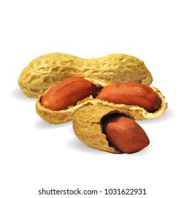 Fresh, nutritious, tasty peanut. Nuts ingredients in triangulation technique. Vector illustration. Nuts ingredients in triangulation technique. Peanut low poly