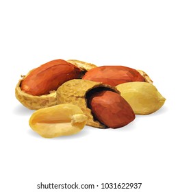 Fresh, nutritious, tasty peanut. Nuts ingredients in triangulation technique. Vector illustration. Nuts ingredients in triangulation technique. Peanut low poly