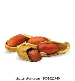 Fresh, nutritious, tasty peanut. Nuts ingredients in triangulation technique. Vector illustration. Nuts ingredients in triangulation technique. Peanut low poly