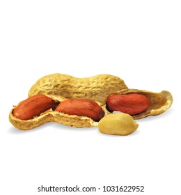 Fresh, nutritious, tasty peanut. Nuts ingredients in triangulation technique. Vector illustration. Nuts ingredients in triangulation technique. Peanut low poly