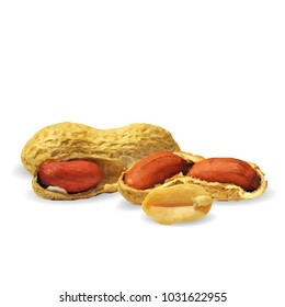 Fresh, nutritious, tasty peanut. Nuts ingredients in triangulation technique. Vector illustration. Nuts ingredients in triangulation technique. Peanut low poly
