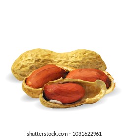 Fresh, nutritious, tasty peanut. Nuts ingredients in triangulation technique. Vector illustration. Nuts ingredients in triangulation technique. Peanut low poly