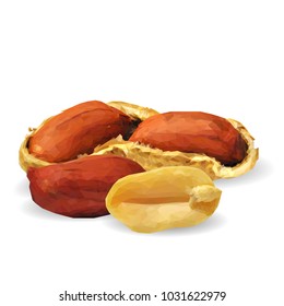 Fresh, nutritious, tasty peanut. Nuts ingredients in triangulation technique. Vector illustration. Nuts ingredients in triangulation technique. Peanut low poly