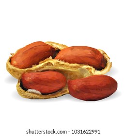 Fresh, nutritious, tasty peanut. Nuts ingredients in triangulation technique. Vector illustration. Nuts ingredients in triangulation technique. Peanut low poly