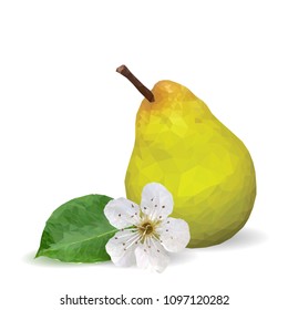 Fresh, nutritious and tasty pears. Bloom of pear. Symbols of fruits. Elements for label design. Vector illustration. Fruits ingredients in triangulation technique. Pears low poly.