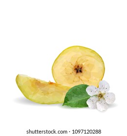Fresh, nutritious and tasty pears. Bloom of pear. Symbols of fruits. Elements for label design. Vector illustration. Fruits ingredients in triangulation technique. Pears low poly.