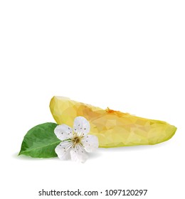 Fresh, nutritious and tasty pears. Bloom of pear. Symbols of fruits. Elements for label design. Vector illustration. Fruits ingredients in triangulation technique. Pears low poly.