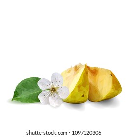 Fresh, nutritious and tasty pears. Bloom of pear. Symbols of fruits. Elements for label design. Vector illustration. Fruits ingredients in triangulation technique. Pears low poly.