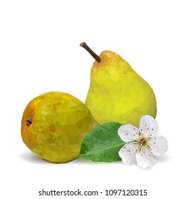 Fresh, nutritious and tasty pears. Bloom of pear. Symbols of fruits. Elements for label design. Vector illustration. Fruits ingredients in triangulation technique. Pears low poly.