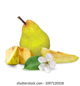 Fresh, nutritious and tasty pears. Bloom of pear. Symbols of fruits. Elements for label design. Vector illustration. Fruits ingredients in triangulation technique. Pears low poly.