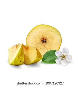 Fresh, nutritious and tasty pears. Bloom of pear. Symbols of fruits. Elements for label design. Vector illustration. Fruits ingredients in triangulation technique. Pears low poly.