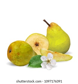 Fresh, nutritious and tasty pears. Bloom of pear. Symbols of fruits. Elements for label design. Vector illustration. Fruits ingredients in triangulation technique. Pears low poly.