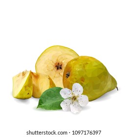 Fresh, nutritious and tasty pears. Bloom of pear. Symbols of fruits. Elements for label design. Vector illustration. Fruits ingredients in triangulation technique. Pears low poly.