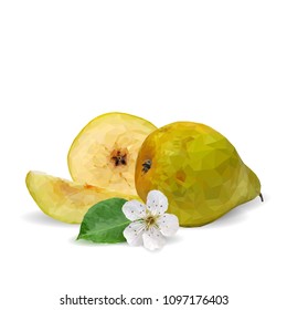 Fresh, nutritious and tasty pears. Bloom of pear. Symbols of fruits. Elements for label design. Vector illustration. Fruits ingredients in triangulation technique. Pears low poly.