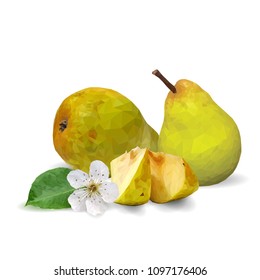 Fresh, nutritious and tasty pears. Bloom of pear. Symbols of fruits. Elements for label design. Vector illustration. Fruits ingredients in triangulation technique. Pears low poly.
