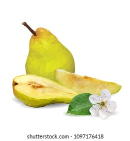 Fresh, nutritious and tasty pears. Bloom of pear. Symbols of fruits. Elements for label design. Vector illustration. Fruits ingredients in triangulation technique. Pears low poly.