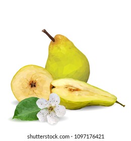 Fresh, nutritious and tasty pears. Bloom of pear. Symbols of fruits. Elements for label design. Vector illustration. Fruits ingredients in triangulation technique. Pears low poly.