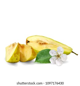 Fresh, nutritious and tasty pears. Bloom of pear. Symbols of fruits. Elements for label design. Vector illustration. Fruits ingredients in triangulation technique. Pears low poly.