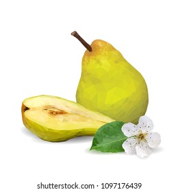Fresh, nutritious and tasty pears. Bloom of pear. Symbols of fruits. Elements for label design. Vector illustration. Fruits ingredients in triangulation technique. Pears low poly.