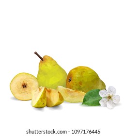 Fresh, nutritious and tasty pears. Bloom of pear. Symbols of fruits. Elements for label design. Vector illustration. Fruits ingredients in triangulation technique. Pears low poly.