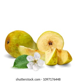 Fresh, nutritious and tasty pears. Bloom of pear. Symbols of fruits. Elements for label design. Vector illustration. Fruits ingredients in triangulation technique. Pears low poly.