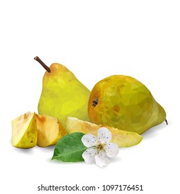 Fresh, nutritious and tasty pears. Bloom of pear. Symbols of fruits. Elements for label design. Vector illustration. Fruits ingredients in triangulation technique. Pears low poly.