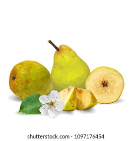 Fresh, nutritious and tasty pears. Bloom of pear. Symbols of fruits. Elements for label design. Vector illustration. Fruits ingredients in triangulation technique. Pears low poly.