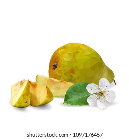 Fresh, nutritious and tasty pears. Bloom of pear. Symbols of fruits. Elements for label design. Vector illustration. Fruits ingredients in triangulation technique. Pears low poly.