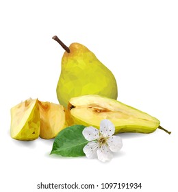 Fresh, nutritious and tasty pears. Bloom of pear. Symbols of fruits. Elements for label design. Vector illustration. Fruits ingredients in triangulation technique. Pears low poly.