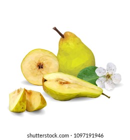 Fresh, nutritious and tasty pears. Bloom of pear. Symbols of fruits. Elements for label design. Vector illustration. Fruits ingredients in triangulation technique. Pears low poly.