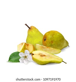 Fresh, nutritious and tasty pears. Bloom of pear. Symbols of fruits. Elements for label design. Vector illustration. Fruits ingredients in triangulation technique. Pears low poly.