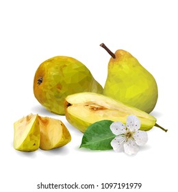 Fresh, nutritious and tasty pears. Bloom of pear. Symbols of fruits. Elements for label design. Vector illustration. Fruits ingredients in triangulation technique. Pears low poly.