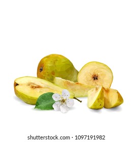 Fresh, nutritious and tasty pears. Bloom of pear. Symbols of fruits. Elements for label design. Vector illustration. Fruits ingredients in triangulation technique. Pears low poly.